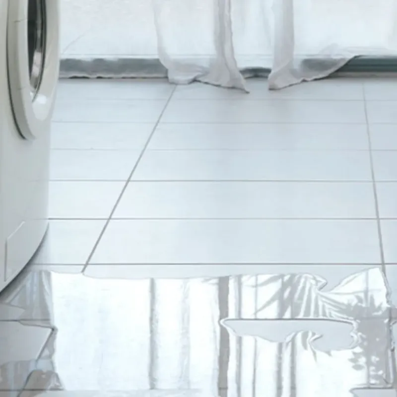 Appliance Leak Cleanup in Morgandale, OH