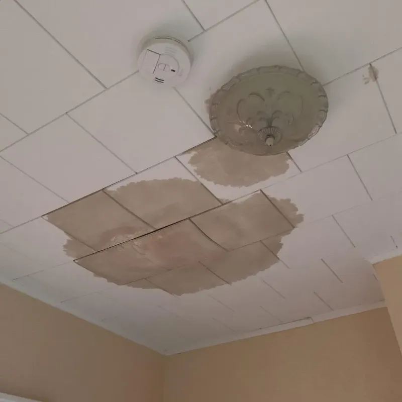 Ceiling Water Damage Repair in Morgandale, OH