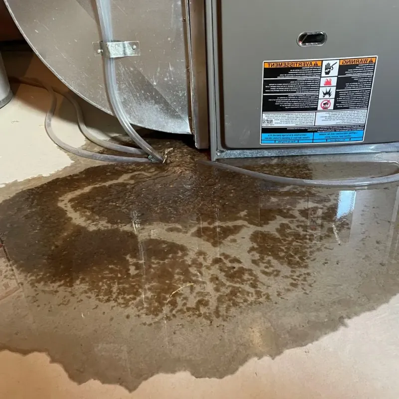 Pipe Burst and Leak Restoration in Morgandale, OH