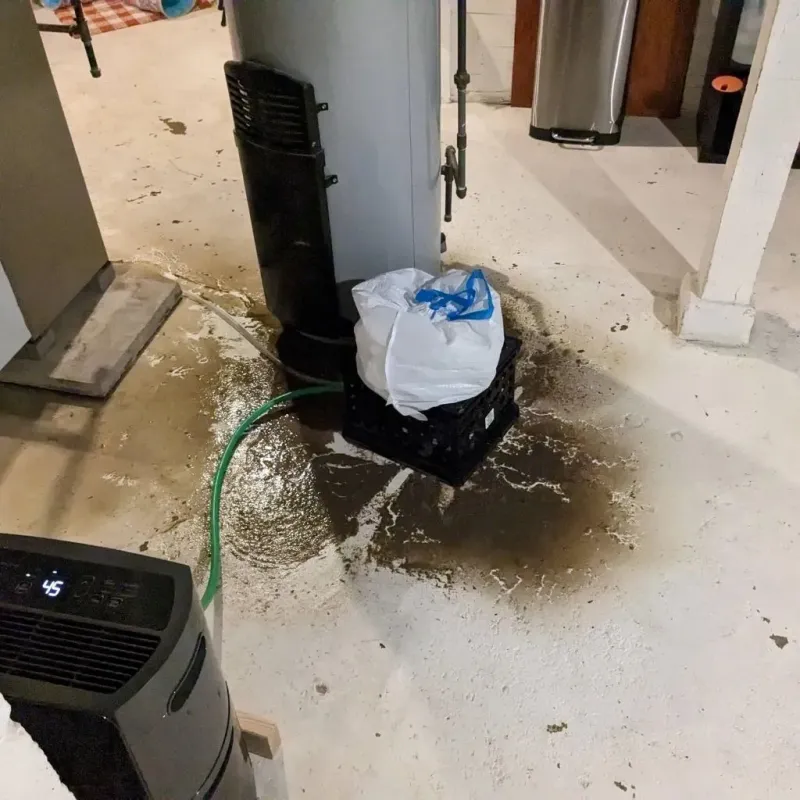 Sewage Backup Cleanup Service in Morgandale, OH